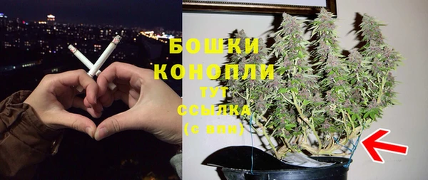 МДПВ Богородск